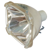 ASK LAMP-031 Lámpa modul nélkül