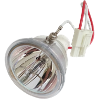INFOCUS SP-LAMP-025 Lámpa modul nélkül