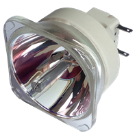 PHILIPS-UHP 245/170W 0.8 E19.4 Lámpa modul nélkül