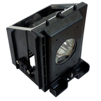 SAMSUNG HL-R6167WAX/XAP Lámpa modullal