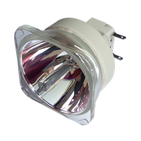 SANYO PLC-WU3001 Lámpa modul nélkül